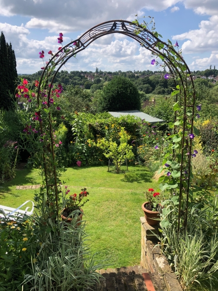 Terrace House Garden